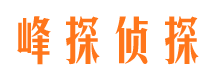 方城市侦探调查公司